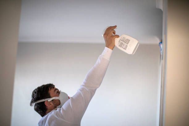 Best Mold Cleaning Services  in West Hill, OH