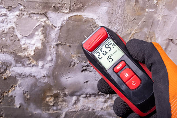 Trusted West Hill, OH Mold Removal Experts